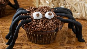 cupcake au chocolat deco araignee halloween