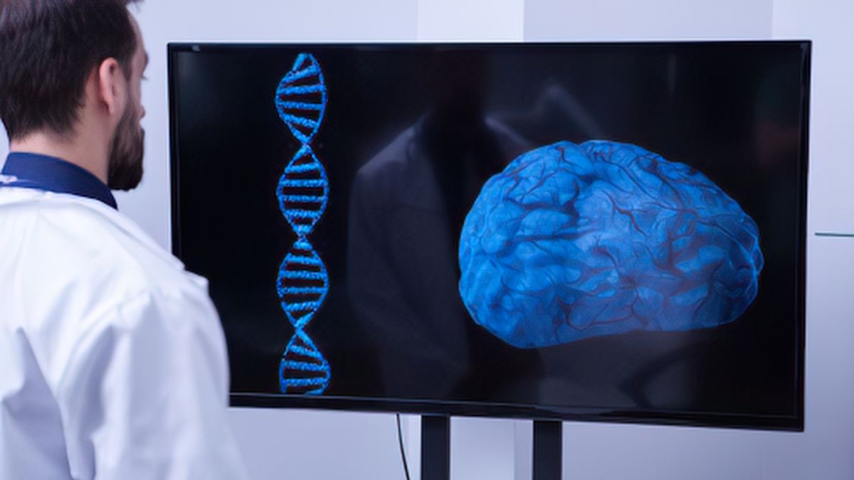 scientifique regardant sur ecran images ADN et cervau