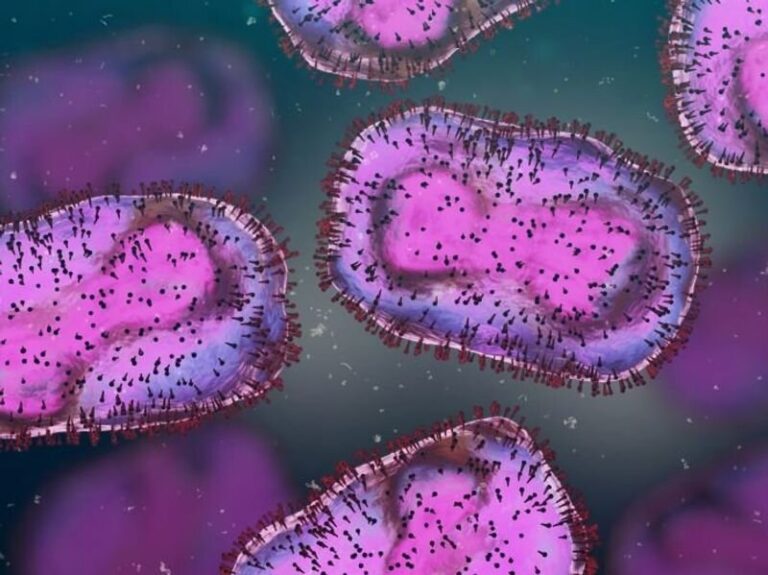 71 % des cas de mpox sont survenus dans les grandes zones urbaines centrales