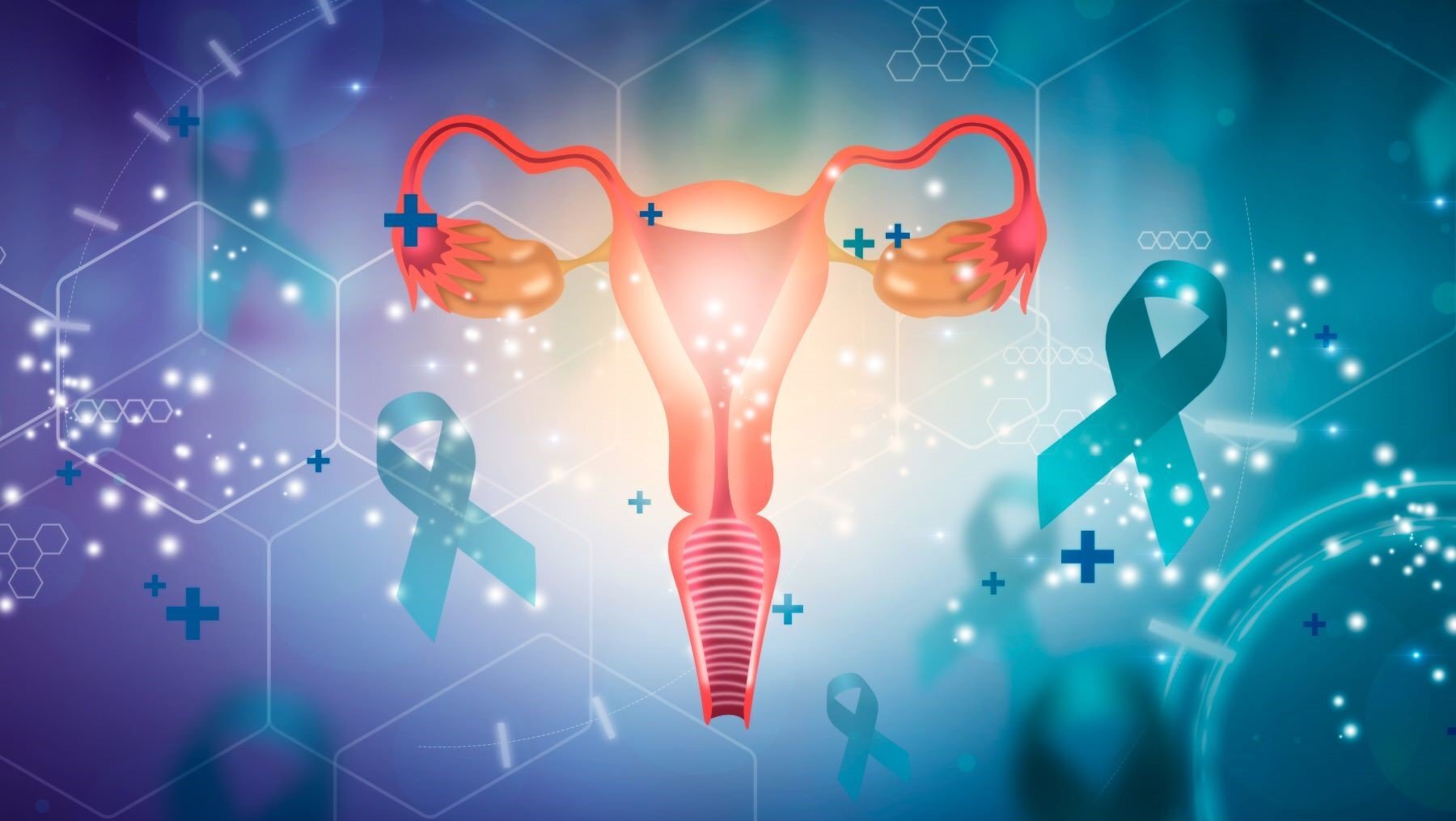 Les œstrogènes équins conjugués peuvent augmenter le risque de cancer de l'ovaire