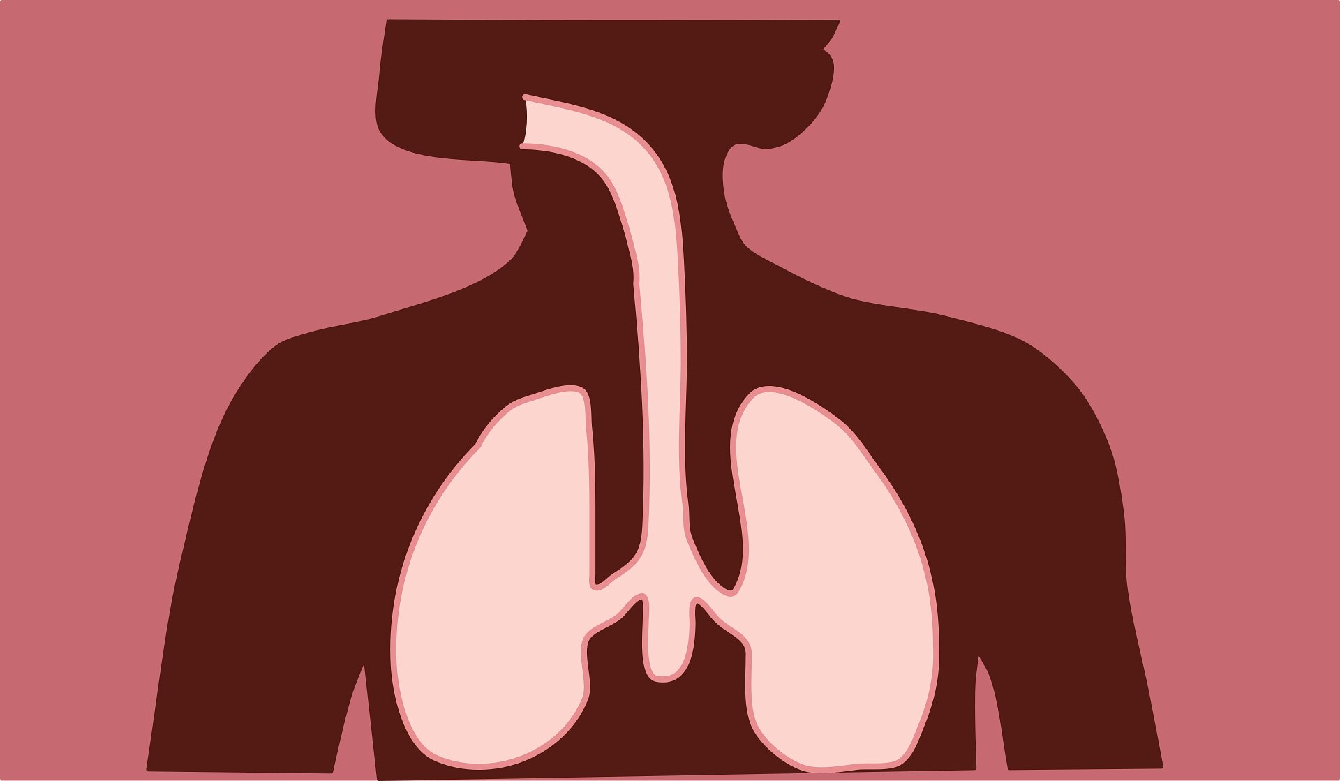 Les athlètes et le public pourraient bénéficier de nouvelles recherches sur la réduction des maladies des voies respiratoires supérieures