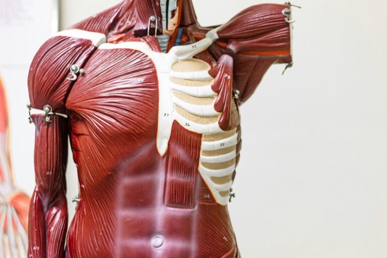 Les organes du corps ne sont pas toujours là où ils sont censés être