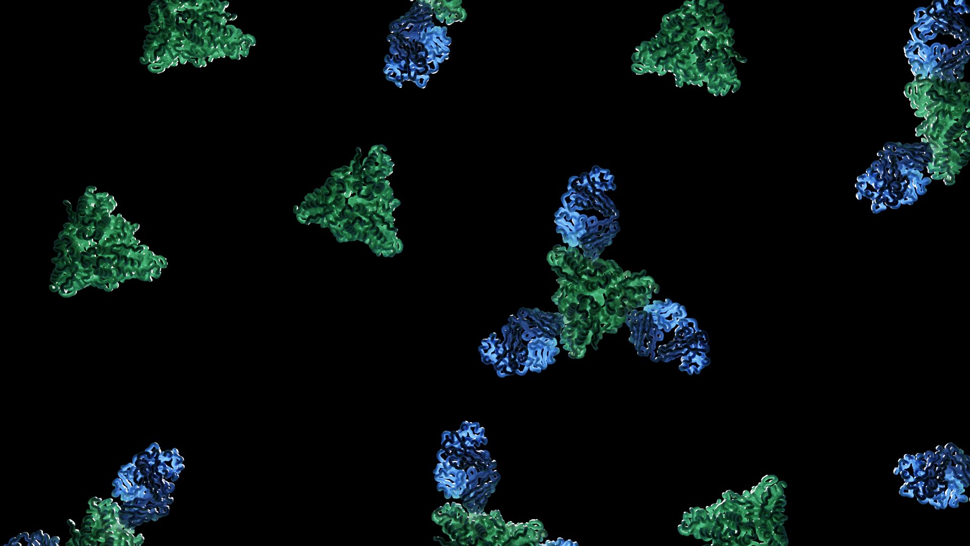 Une étude révèle comment l'anticorps mAb 77 neutralise le virus de la rougeole