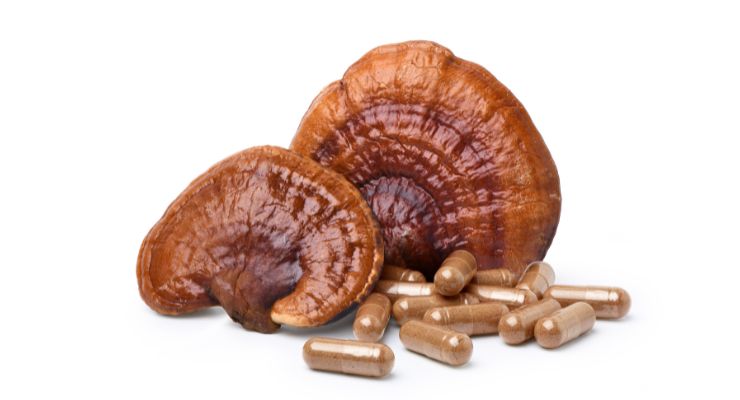 Are Functional Mushrooms the Next Superfood? Market Demand Continues to Gather Momentum