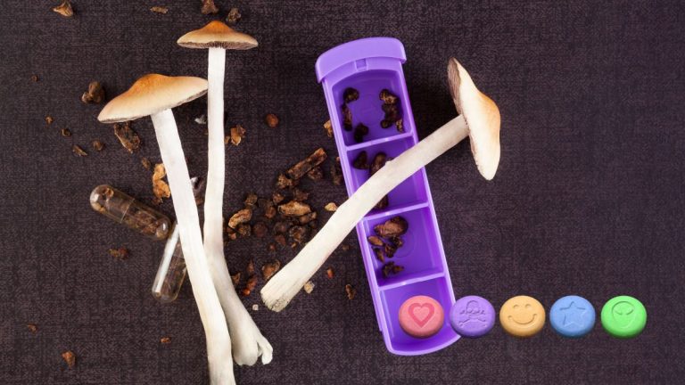 champignons de Psilocybine et comprimés de MDMA