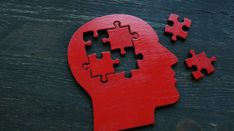 tete en bois avec puzzle remplacant le cerveau et pieces en dehors