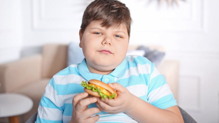 enfant obese tient un hamburger