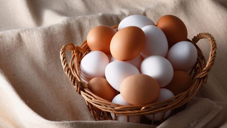 panier plein oeufs