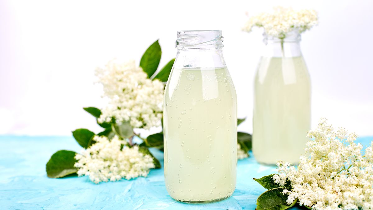 bouteilles kefir